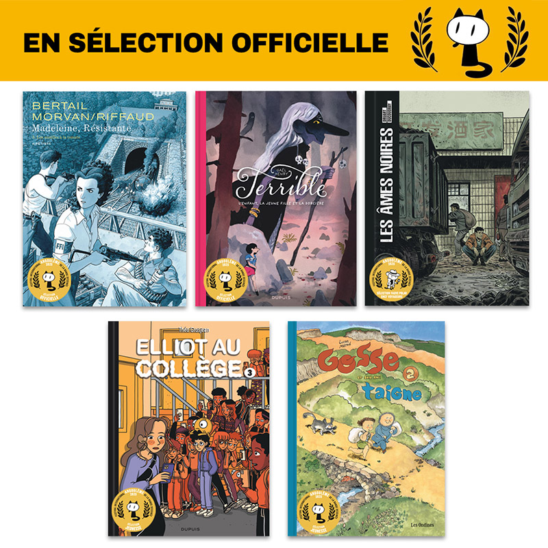 Sélection officielle FIBD