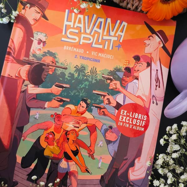 Havana Split T2 manga_dai_kazoku - Instagram